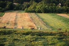 Bosnia-Herzegovina-Herzegovina Nature Ride